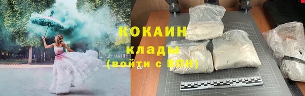 прущая мука Вяземский