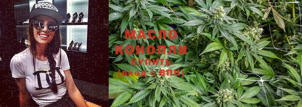 прущая мука Вяземский