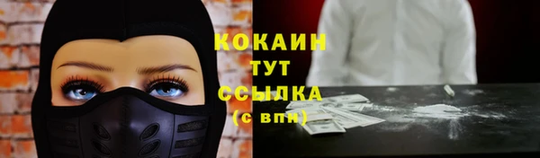 кокс Гусев