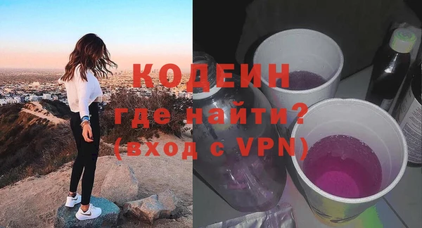 прущая мука Вяземский